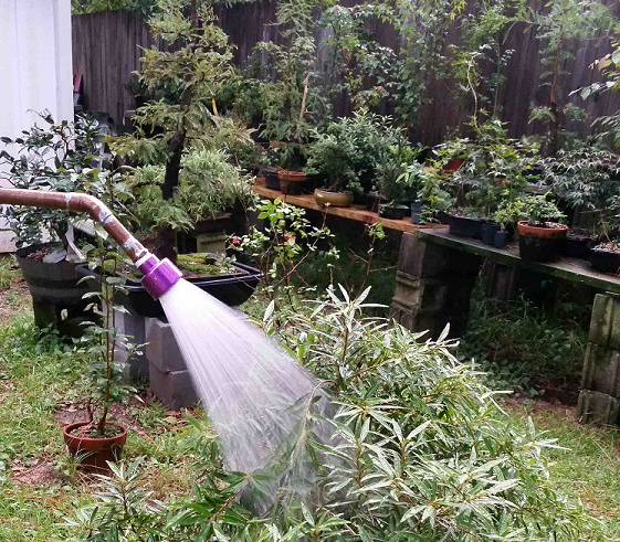 WATERING WANDS