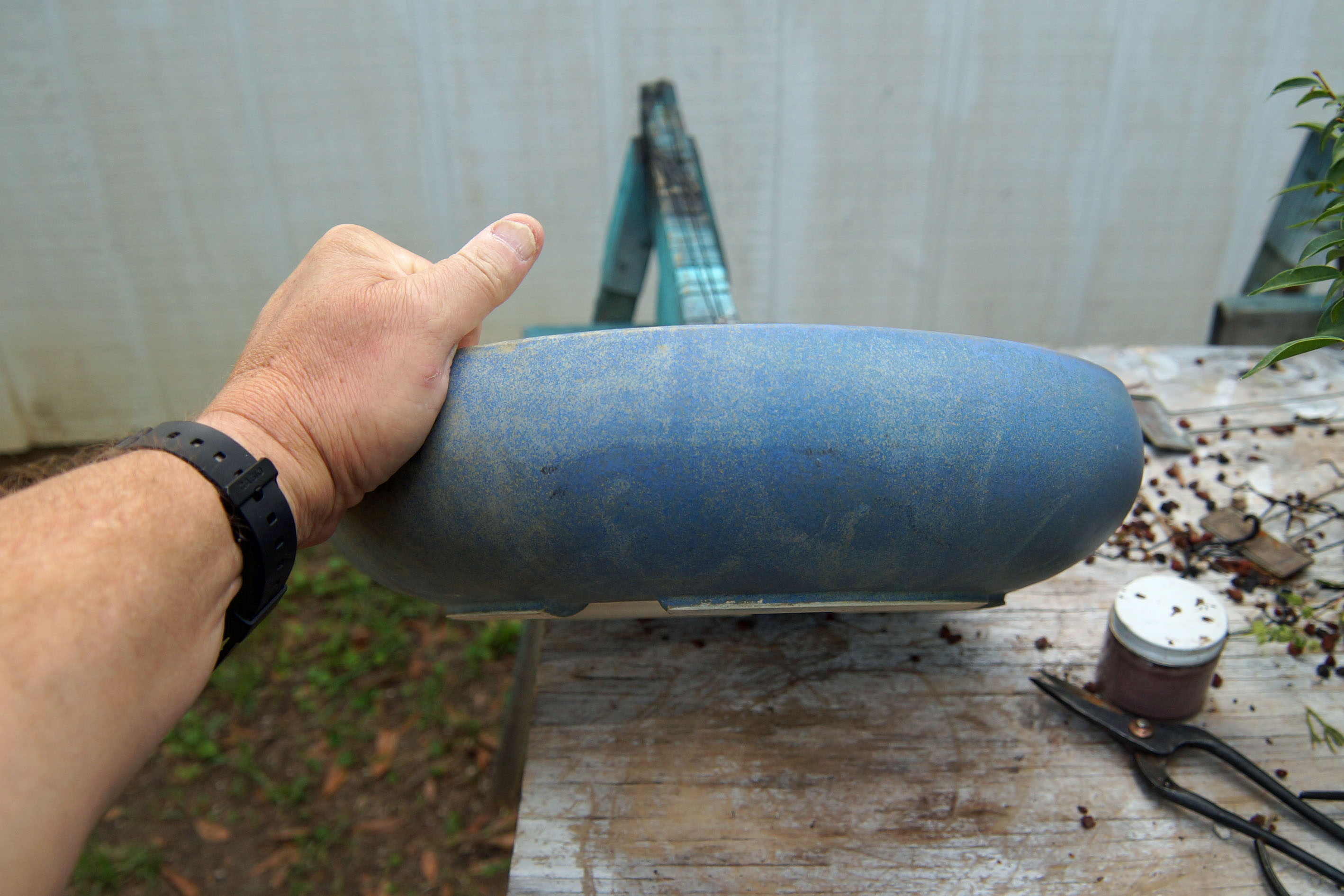 New Pot