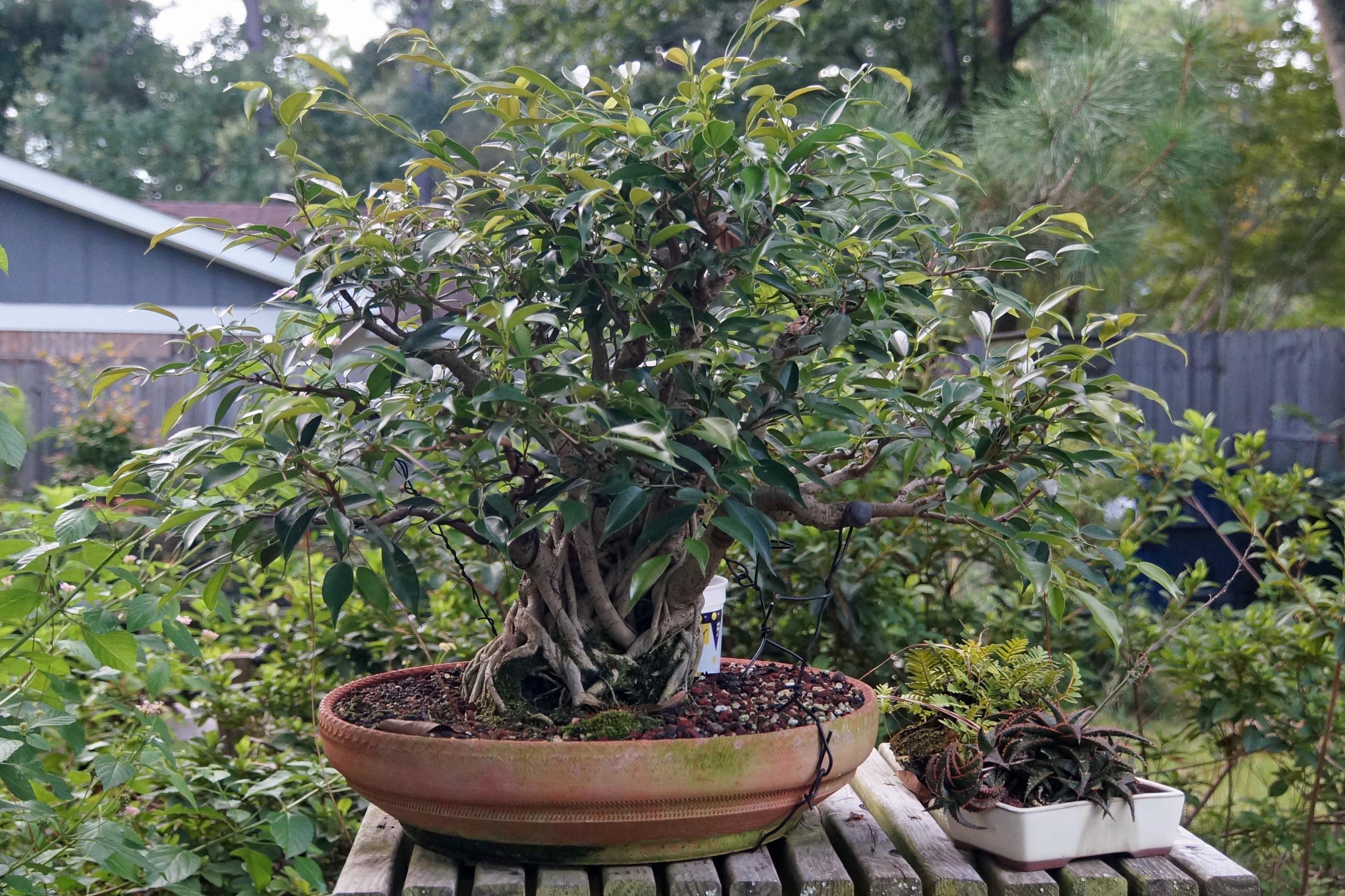 August 2016, Before
