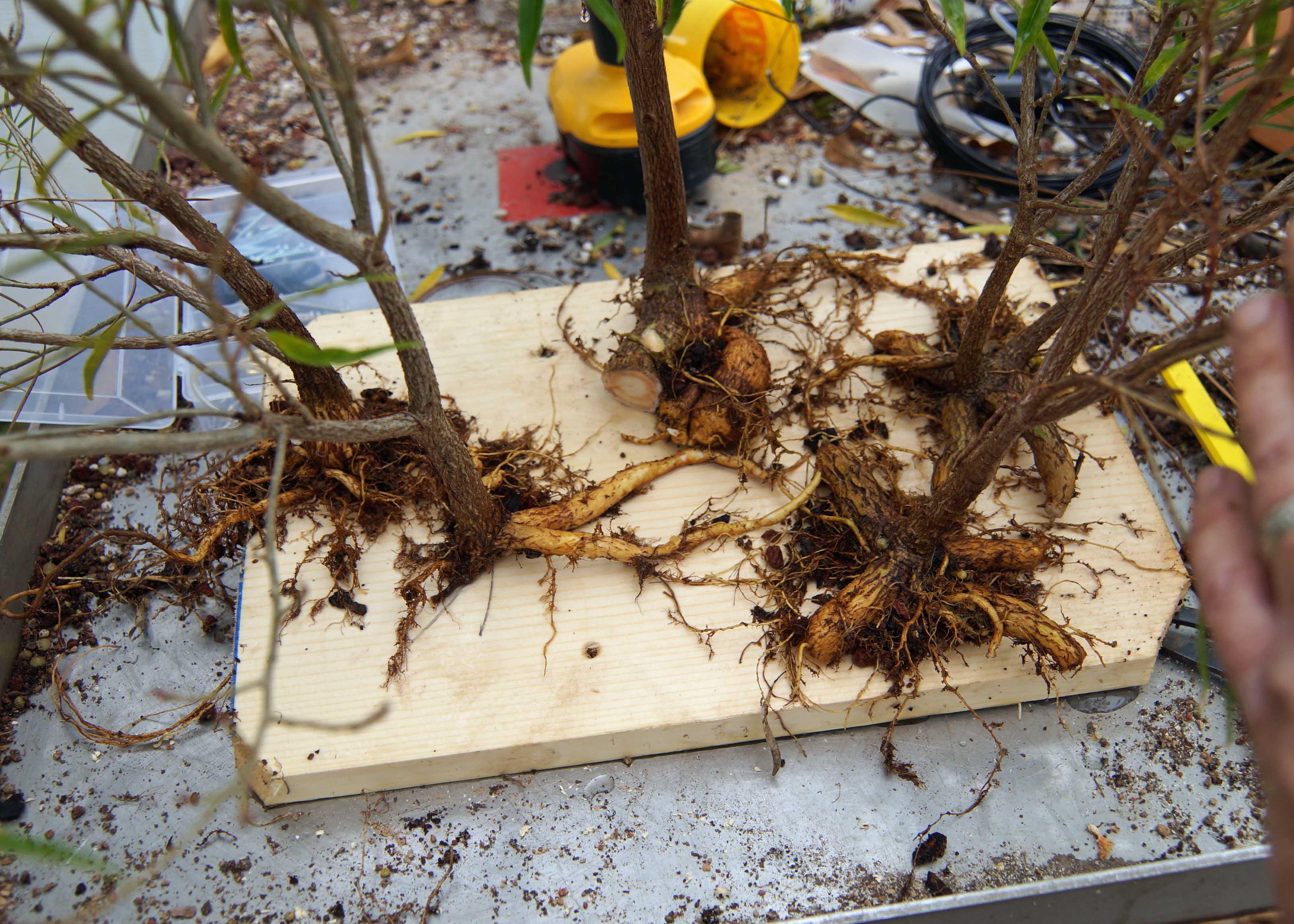 Sorting Out the Positoning