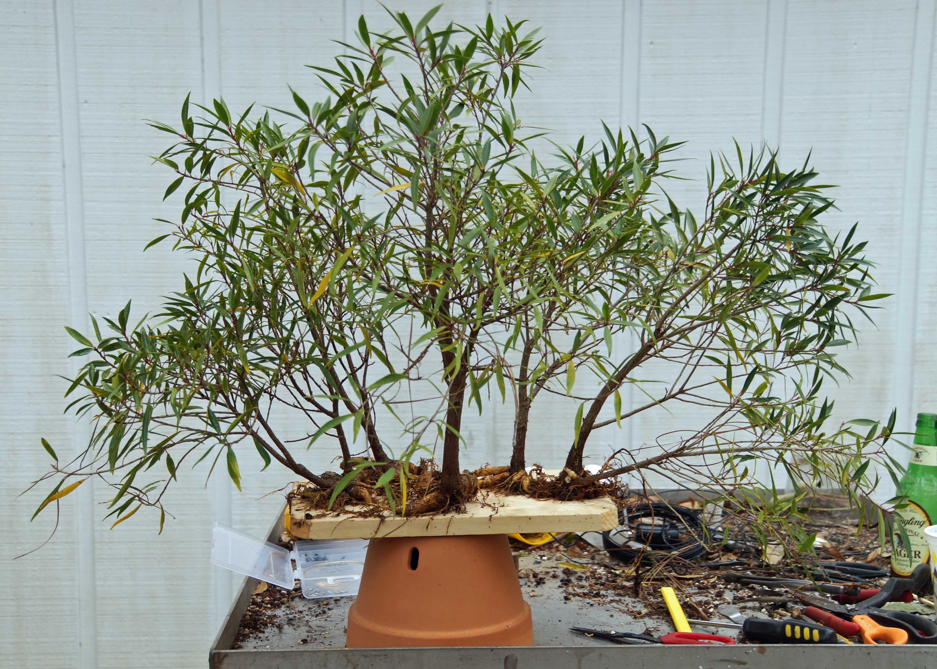 Screwed Into Position